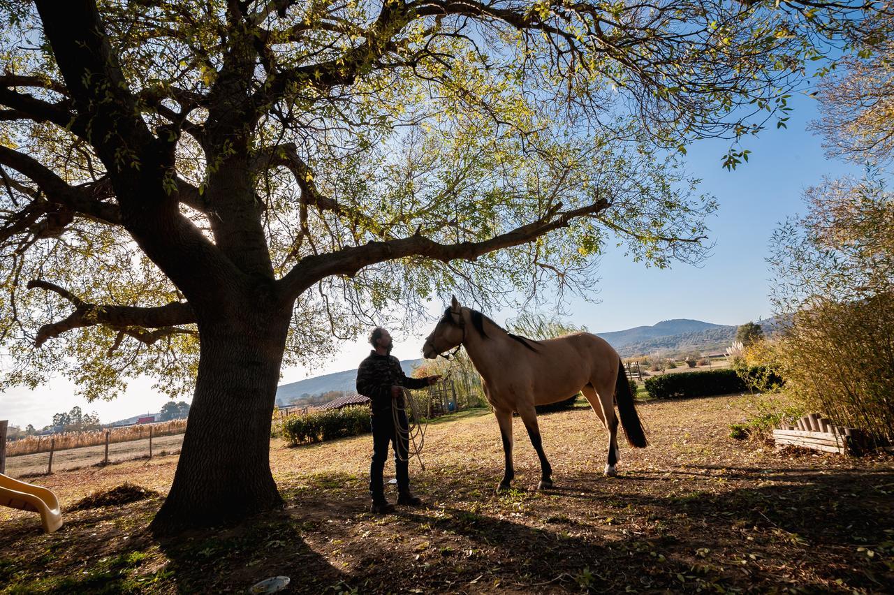 El Molino